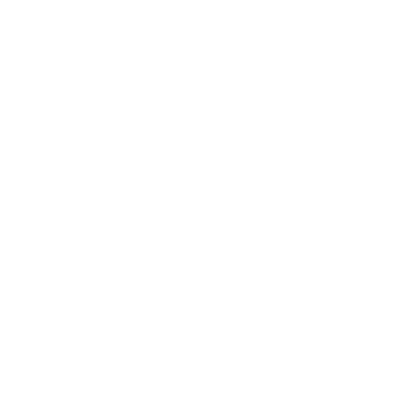 sms icon