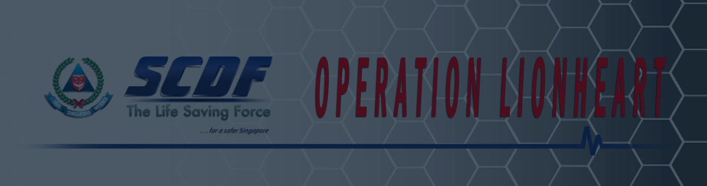 Operation Lionheart Inner Page Banner